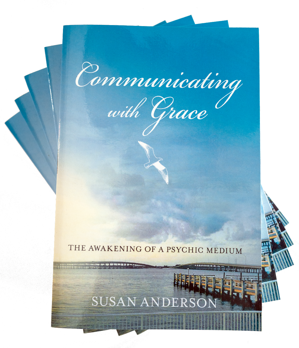 Susan Anderson Book Cover