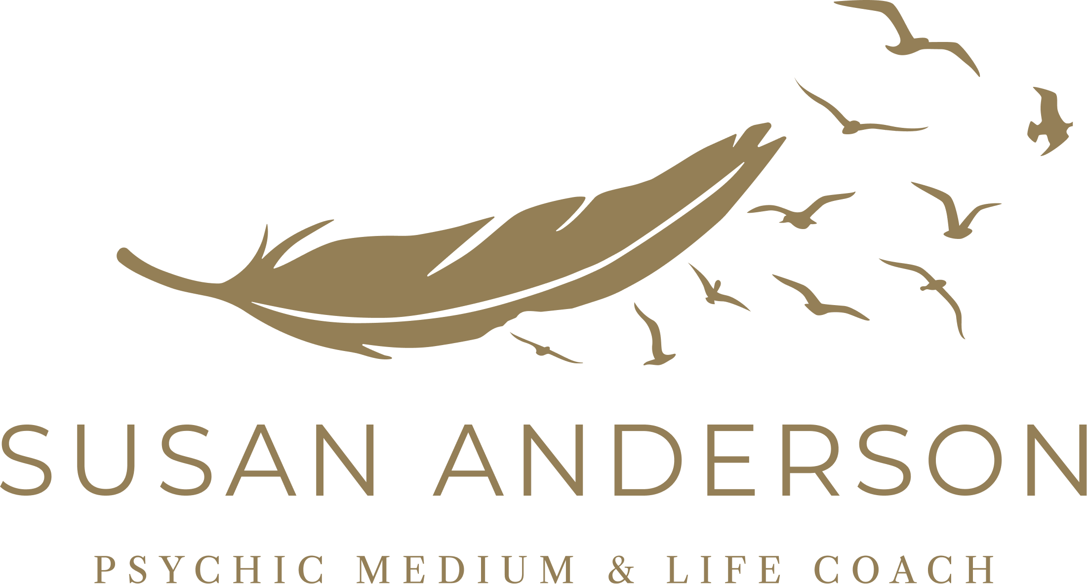 Susan Anderson Logo