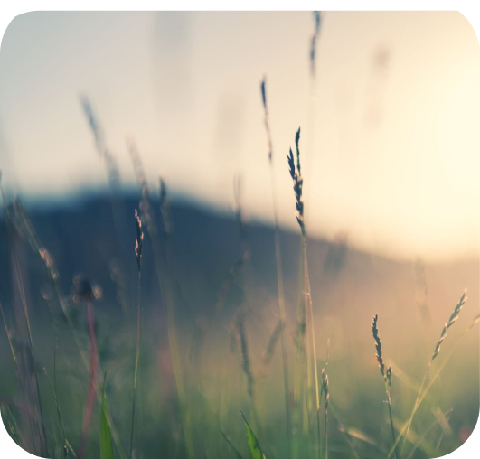 Susan Anderson Quotes