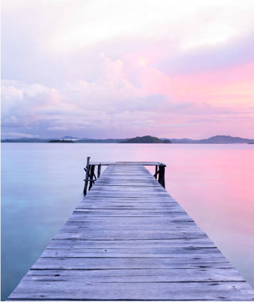 Susan Anderson Quotes